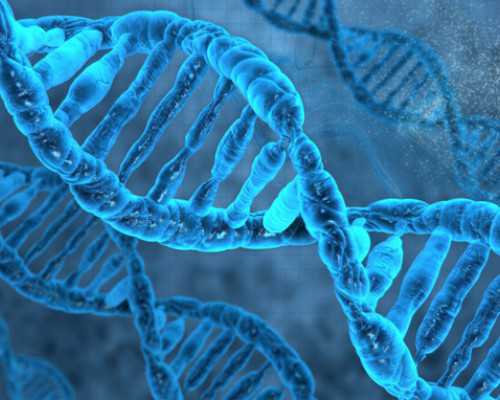 广州试管代生机构包男孩,赴美做试管:子宫肌瘤切除后,移植成功率有多少?