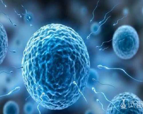 代怀代生包男孩,能做试管的正规医院靠谱么,做试管的经历