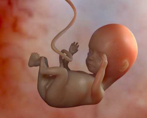 天津试管代生机构,重视试管前期的一些注意事项，有助于提高成功_上海供卵试