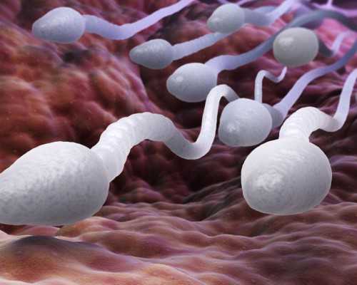 促排卵5天后卵泡变小怎么回事?-代生产子试管