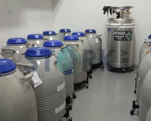 呼和浩特大龄试管婴儿,呼和浩特供卵试管婴儿大概费用多少钱？