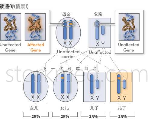 怀孕十一周注意事项_备孕女性做ct,备孕二胎没怀上应该去什么科做些什么检查