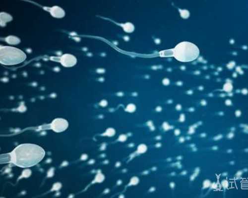 广州代生代怀,2026中国医学科学院北京协和医院做三代试管供卵费用全面解读