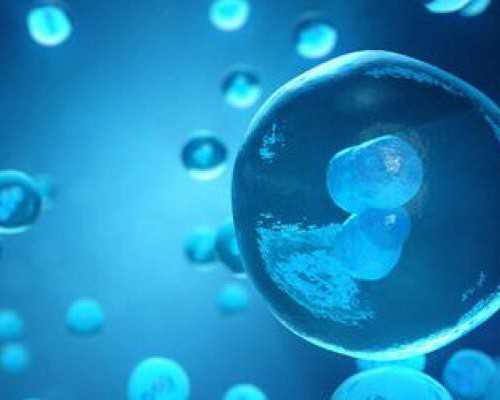 卵泡不圆是质量不好吗 得卵巢囊肿怎么治疗-助孕公司机构