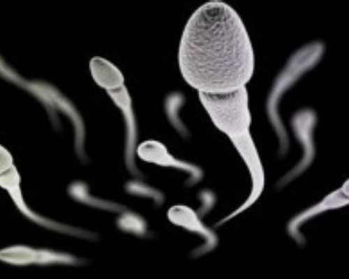 试管助孕供卵_国内怎么供卵,北京供卵试管中介,北京试管供卵机构-上海供卵试