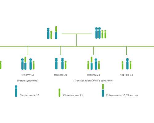 试管养囊的胚胎培养方式!哪个好点?
