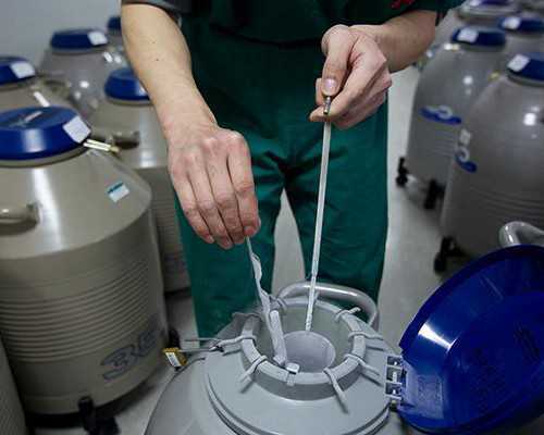 供卵合法化问题_供卵试管供卵,阳泉供卵试管婴儿个人空间