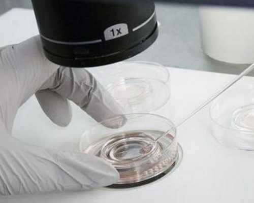 代生双胞胎抱儿子,一、二、三代试管婴儿的优缺点，不孕不育的夫妻应该选择