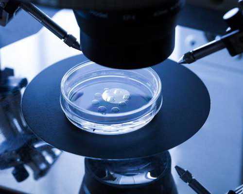 呼和浩特高龄失独供卵生子,呼和浩特供卵子-正规供卵试管生子机构