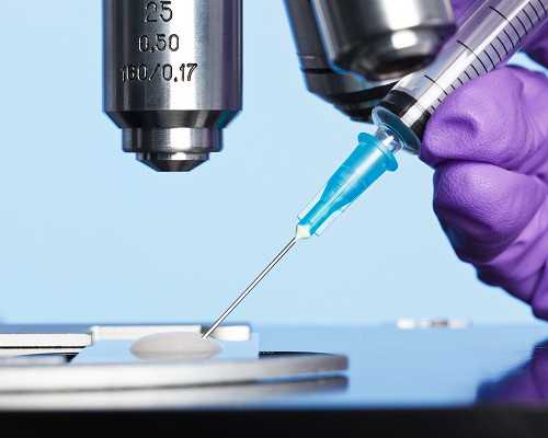 乌克兰供卵生儿子_供卵试管供卵婴儿,2026
天津医科大学总医院供卵试管费用标