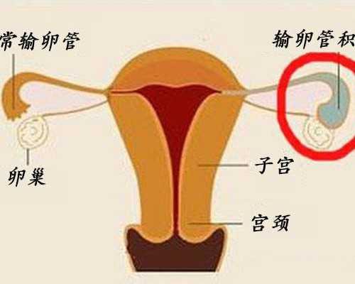 怀孕初期症状有哪些_宝宝育儿知识大全,2026天门不孕不育医院排名，附试管费用