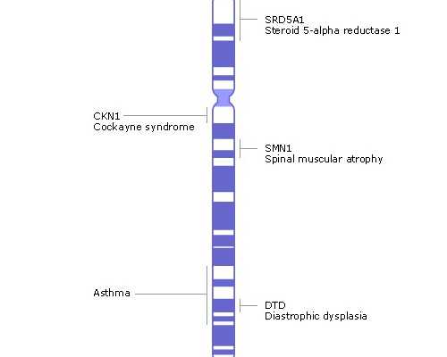 备孕检查有哪些项目_备孕检查大概多少钱,备孕做到这3点更容易怀孕，快行动起
