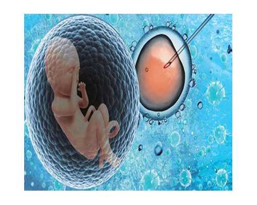 五个月宝宝适合添加哪些辅食?