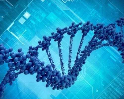 供卵试管成功率_供卵地址,百色卵巢早衰可以做供卵试管婴儿吗,国内符合做供