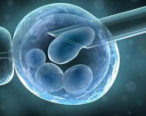 北京代生代怀,汕尾姐妹自助赴日做助孕试管婴儿，不找中介是否可以吗？-漳州