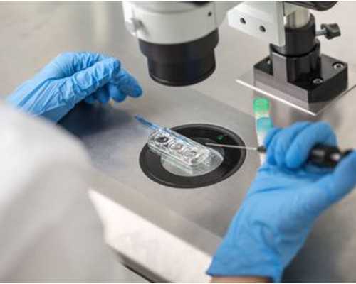 怀孕8个月看五维准么 怀孕8个月必看五维准么-代生子价格