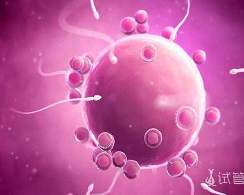 地下供卵试管_哪个医院供卵,正规的供卵医院在哪里,供卵试管正规医院在哪里