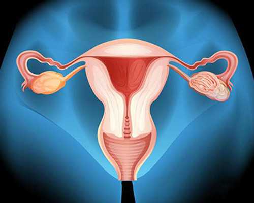 郑州代怀代生,北京公立医院供卵价格?-试管促排期间可以阴蒂高潮吗-ivf长方案