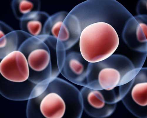 捐卵代生,2026北京公立医院供卵费用明细公布!附影响供卵费用的因素一览-上海