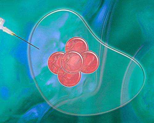 有代生孩子的妈,胖多囊做试管适合什么方案？-供卵试管婴儿 与自卵试管婴儿哪