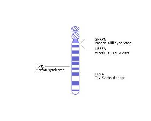 代生个娃多少价钱,试管婴儿取卵前3天同房了但没射精,这样对精子卵子影响么