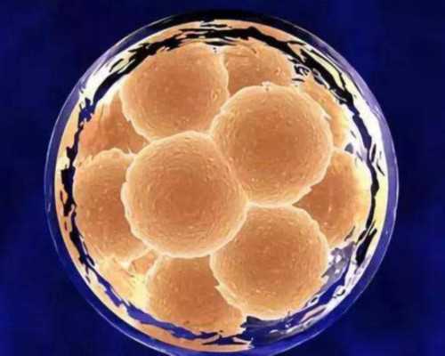 呼和浩特代生网站,呼和浩特供卵试管步骤徴