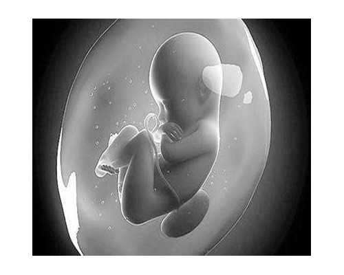 试管促排卵一般最快几天取卵-供卵包生男孩