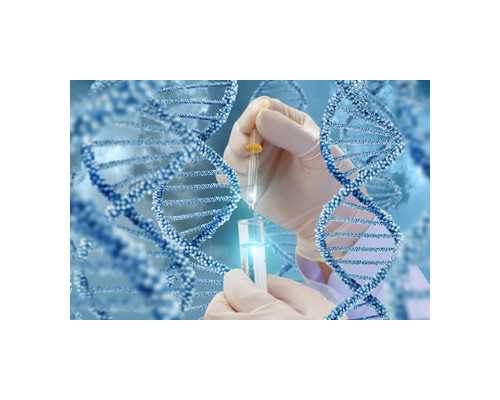 有代生孩子的妈,为什么有人说试管婴儿不如自然怀孕的聪明、健康?-试管后