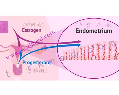 怀孕多久有反应恶心_育儿保姆的工作职责,科普：有过宫外孕情况的女性，备孕