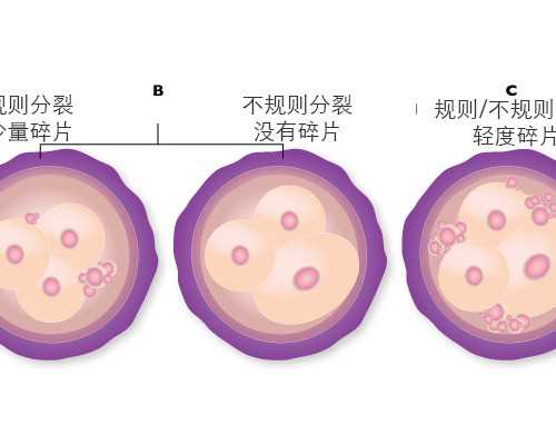 怎样备孕成功率高_早教育儿师资格证,备孕指南|带你了解HCG：HCG值的高与低（四