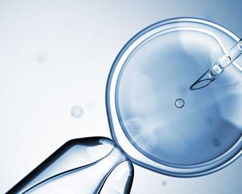 找人代生孩子触发吗,试管胚胎移植疼吗?为什么女性会出现排卵异常?_南京供