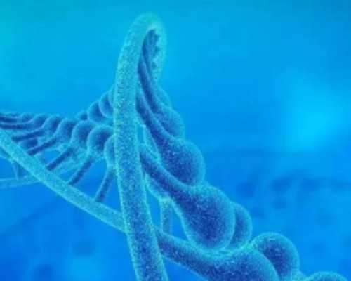 供卵三代医院_供卵试管哪里好,2026
株洲私立供卵生男女试管机构排名公布！试