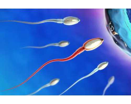 超长方案费用高不高