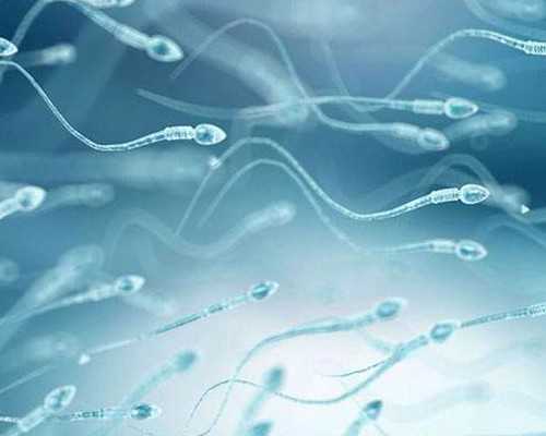 试管婴儿移植成功症状有什么-助孕代怀医院