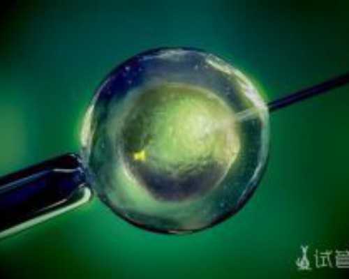 正规代生网,男子弱精可以做试管婴儿吗?专家教你三个方法提升精子活力-上海