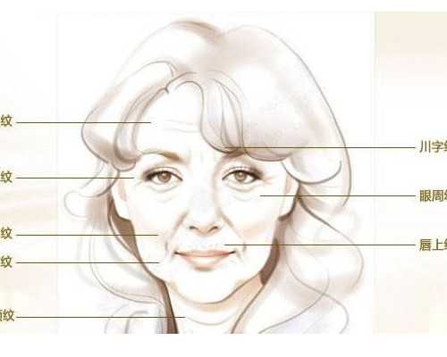 呼和浩特找人代生男孩,呼和浩特供卵试管微信群_试管助孕生子助孕机构