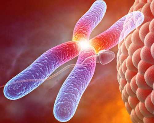 试管婴儿取精前几天排一次精做试管婴儿取精前几天需要排精