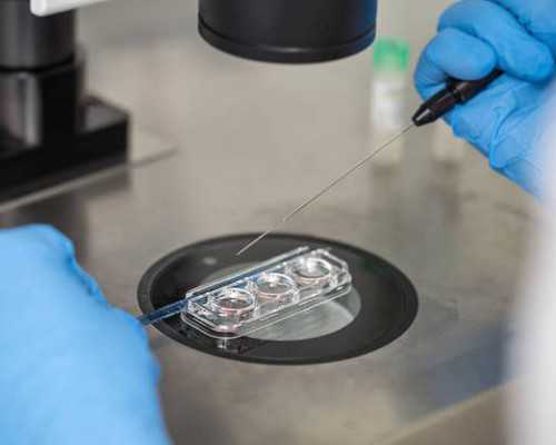 供卵是什么样子_试管供卵供卵,北京排名供卵机构有哪些，3家可以开展三代供卵