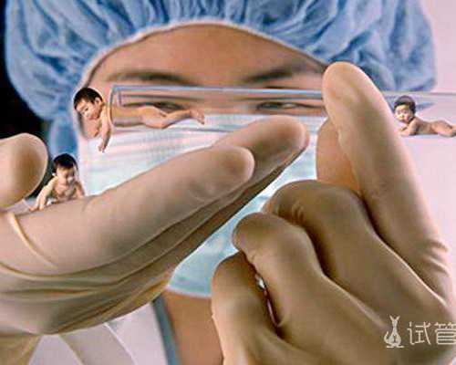 鲜胚第三天_三天的鲜胚和五天的囊胚-试管助孕生子