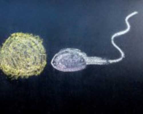 厦门代生代怀,做试管婴儿,现在在将调,将调期间可不可以泡脚_计算生男生女