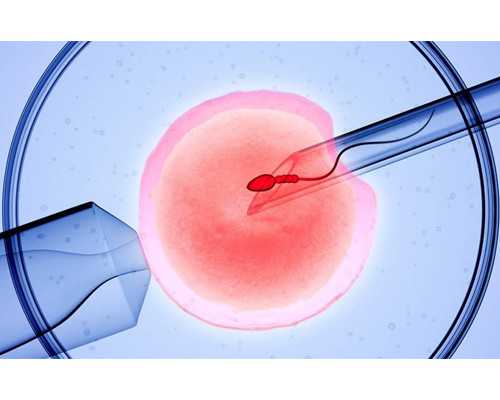 备孕前做哪些检查_北京育儿嫂,备孕期吃什么补叶酸