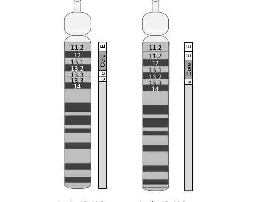 怀孕的症状前兆_育儿嫂去什么平台找,超详细！男性要想科学备孕，这些检查要